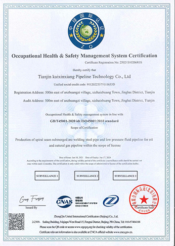 OccupationaI Health Safety Management System Certification
