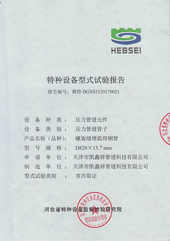 特種設(shè)備型式試驗(yàn)報(bào)告