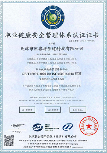 職業(yè)健康安全管理體系認(rèn)證證書(shū)